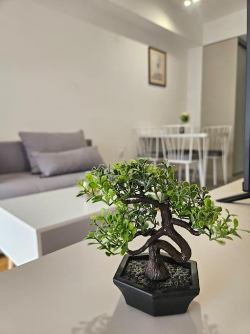 Milo Apartment 스코페 외부 사진